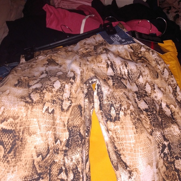 Lady Pants - Picture 7 of 7